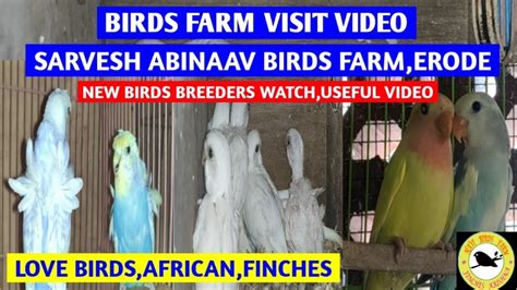 Dheeran Birds Farm