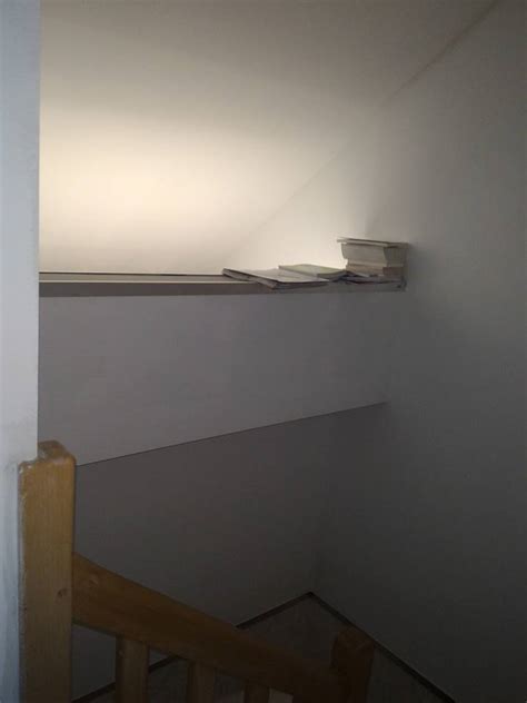 Dianemo à Chantepie