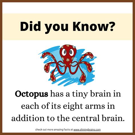 Did You Know
