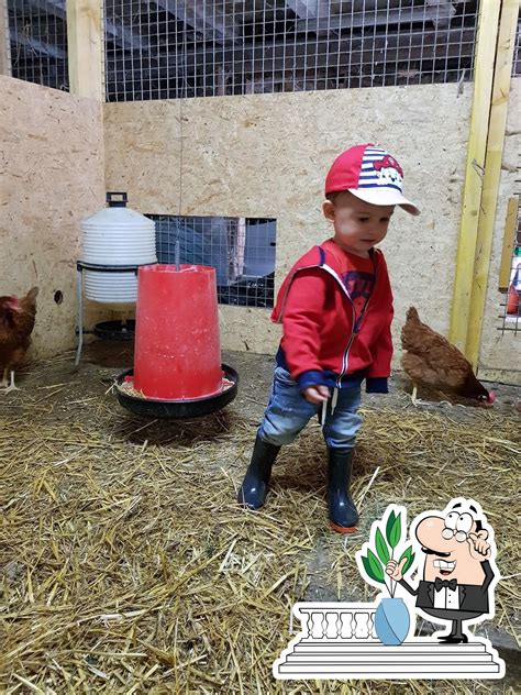 Dietsch Georges à Reiningue