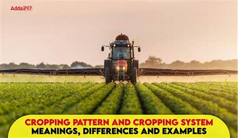 Difference Between Cropping Pattern And Cropping System