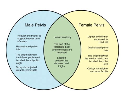 Male Female