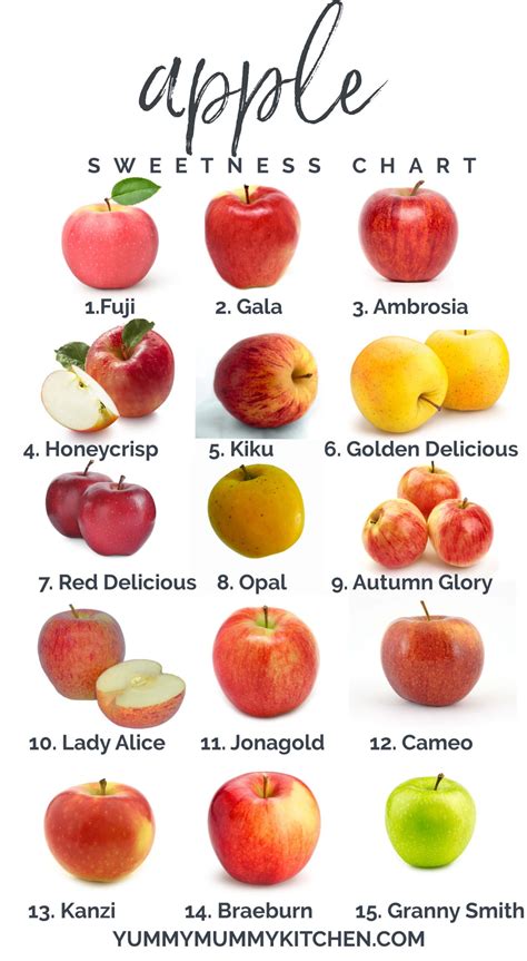 Different Types Of Apples Chart