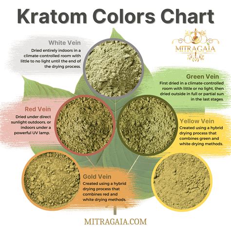 Different Types Of Kratom Chart