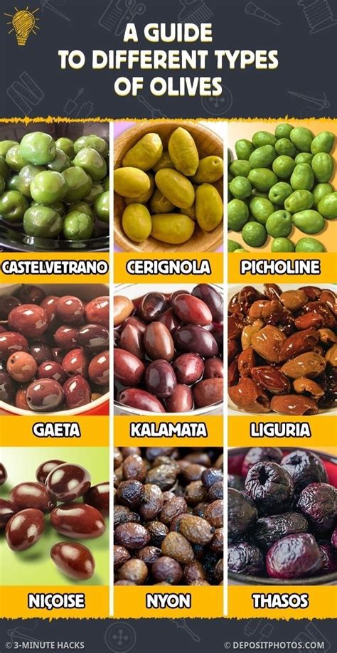Different Types Of Olives Chart