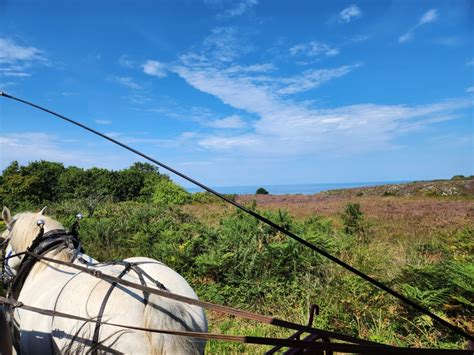 Digosville à Digosville