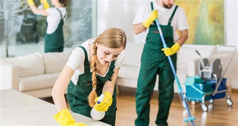 Dirt Blaster Home Cleaning Services