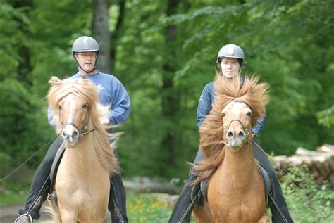 Dischinger Martin à Wasserbourg