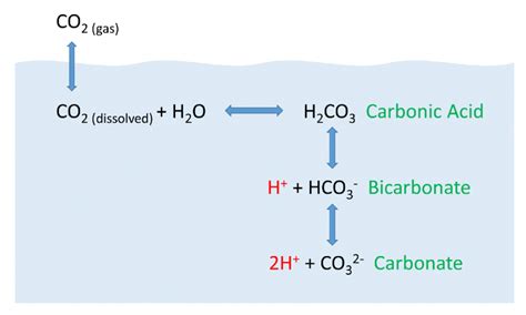 Dissolved CO2