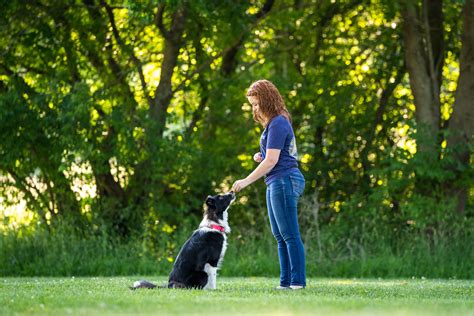 Diverse dogs, dog training and behaviour
