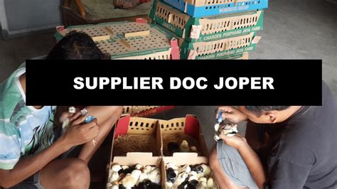 Doc Joper in Indonesia