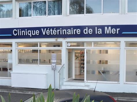 Doctor Veterinaire à Mer