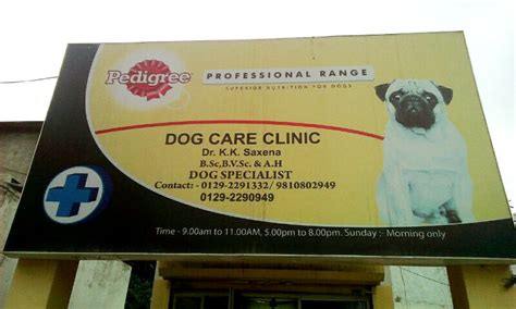 Dog Care Clinic