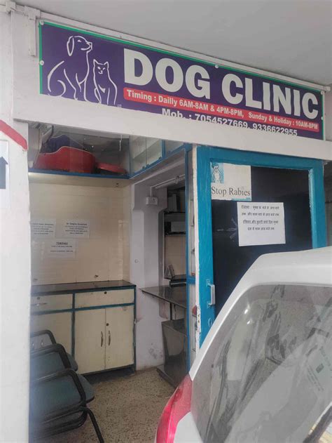 Dog Clinic