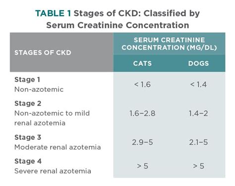 Dog Creatinine Level Chart