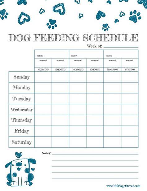 Dog Feeding Schedule Template