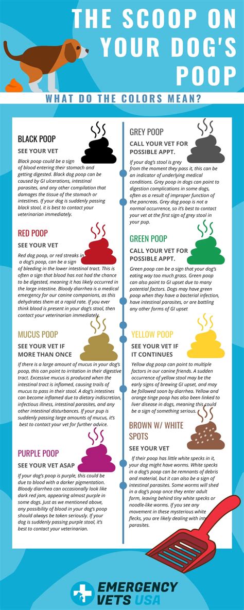Dog Poop Chart Color