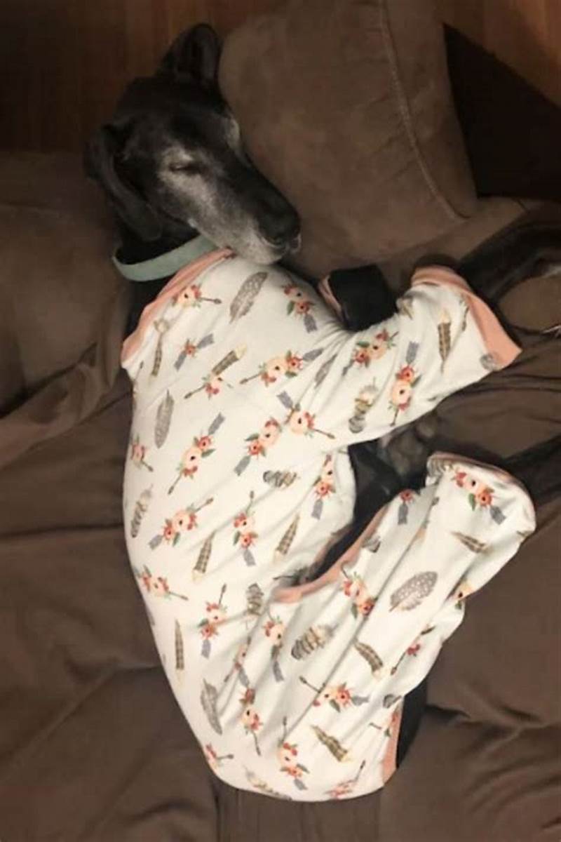 Dog Pyjama Pattern