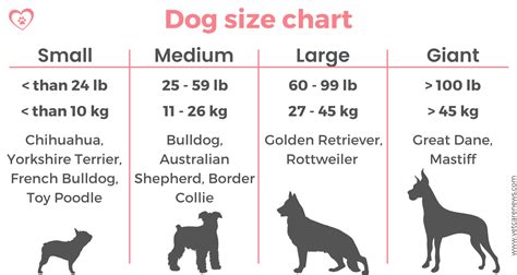 Dog Size Chart Kg