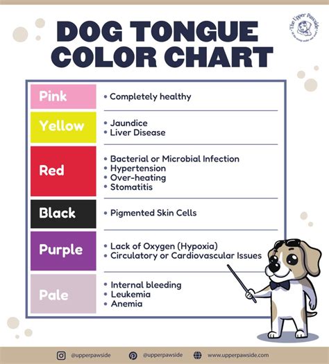 Dog Tongue Color Chart
