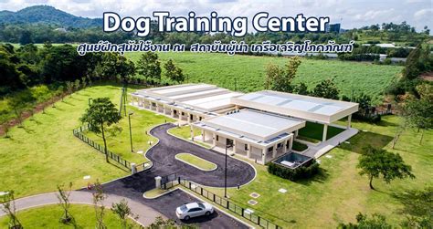 Dog Training Center