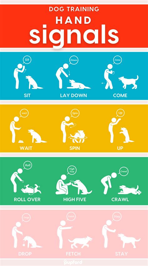 Dog Training Hand Signals Chart