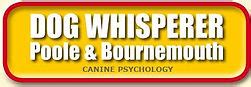 Dog Whisperer Poole & Bournemouth
