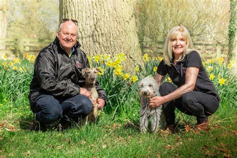 Dog walker Altrincham @ pauls-pet-services.co.uk