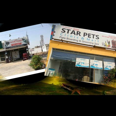 Doggie hub pet shop and grooming