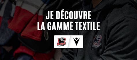 Dogs Store à Cholet