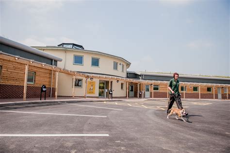 Dogs Trust Dog School East Midlands