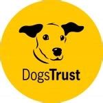 Dogs Trust Snetterton