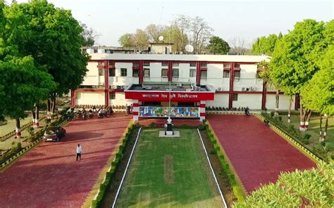 Dogs hostel and training centre