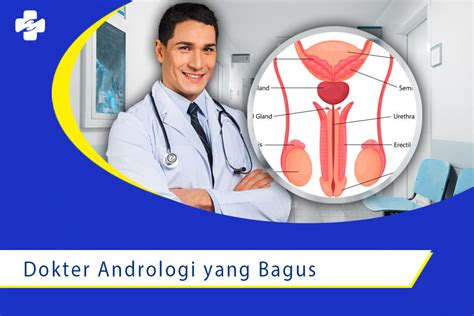 Jadwal Dokter Andrologi di Jakarta: Temukan Dokter Terbaik untuk Kesehatan Anda