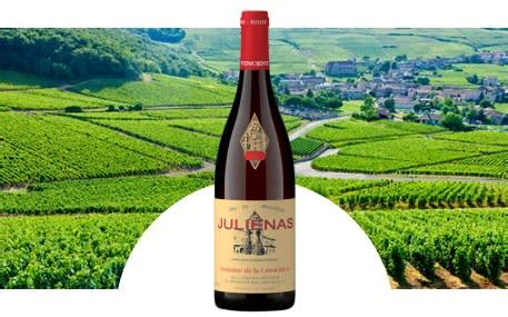 Domaine de la Conseillère – Vins & Dégustation près de Mèze ou Pézenas - à Montagnac