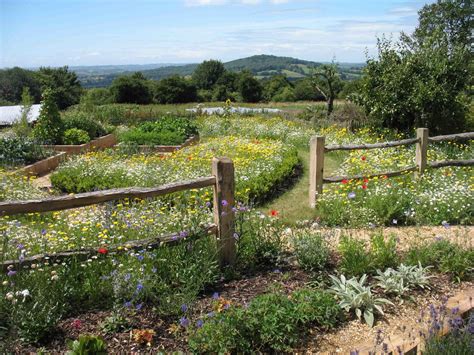 Dorset Rural Gardening