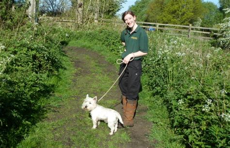 Dovecote Farm Boarding Kennels