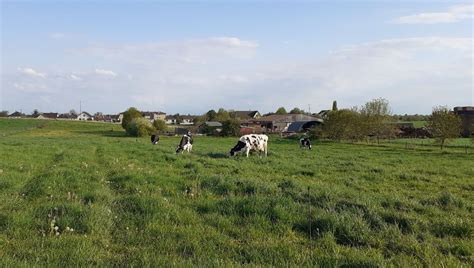 Doyen Pascal à Marcilly-sur-Seine