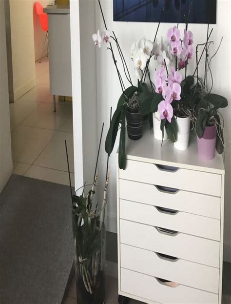 Dr Colomb Edith à Meylan