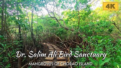 Dr. Salim Ali Bird Sanctuary