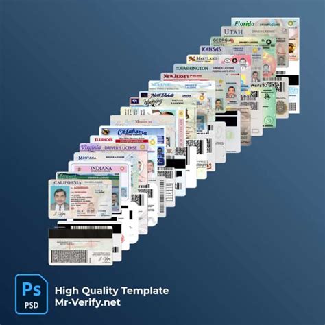 Drivers License Templates