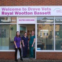 Drove Veterinary Hospital Royal Wootton Bassett Surgery