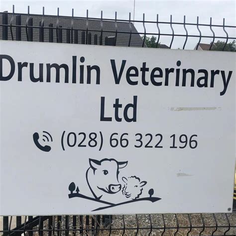 Drumlin Veterinary Ltd