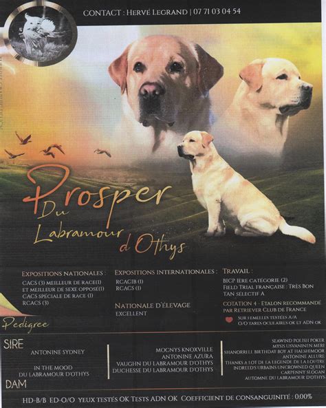 Du Labramour D'othys à Lassigny