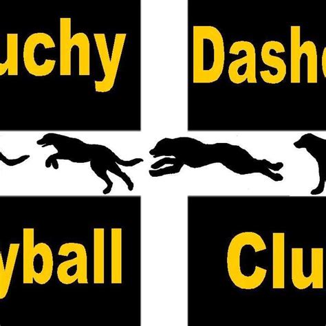 Duchy Dashers Flyball Club
