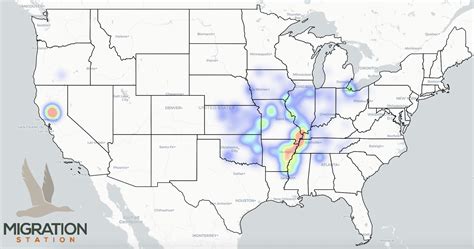Duck Migration Chart