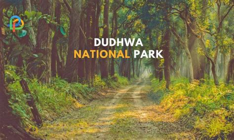 Dudhwa National Park & Tiger Reserve