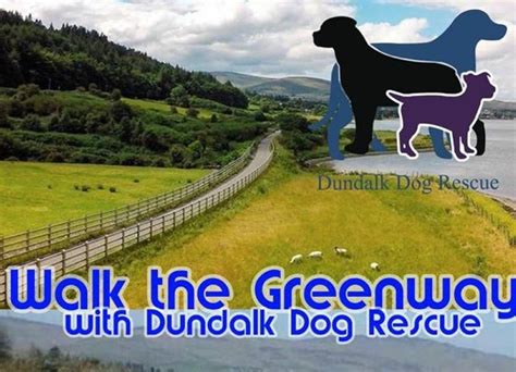 Dundalk Dog Walking
