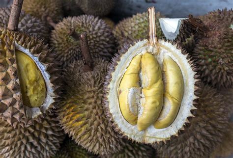 Durian Indonesia