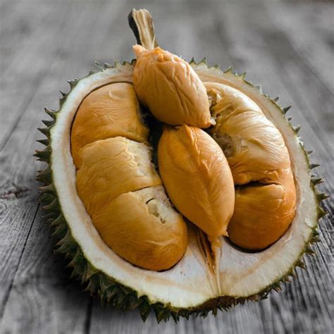 Durian Seed Selection